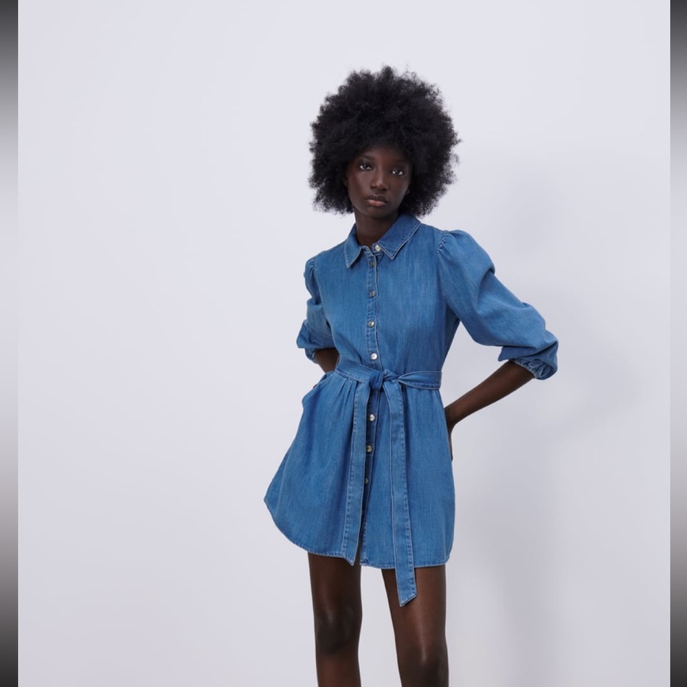 Zara - denim shirt dress